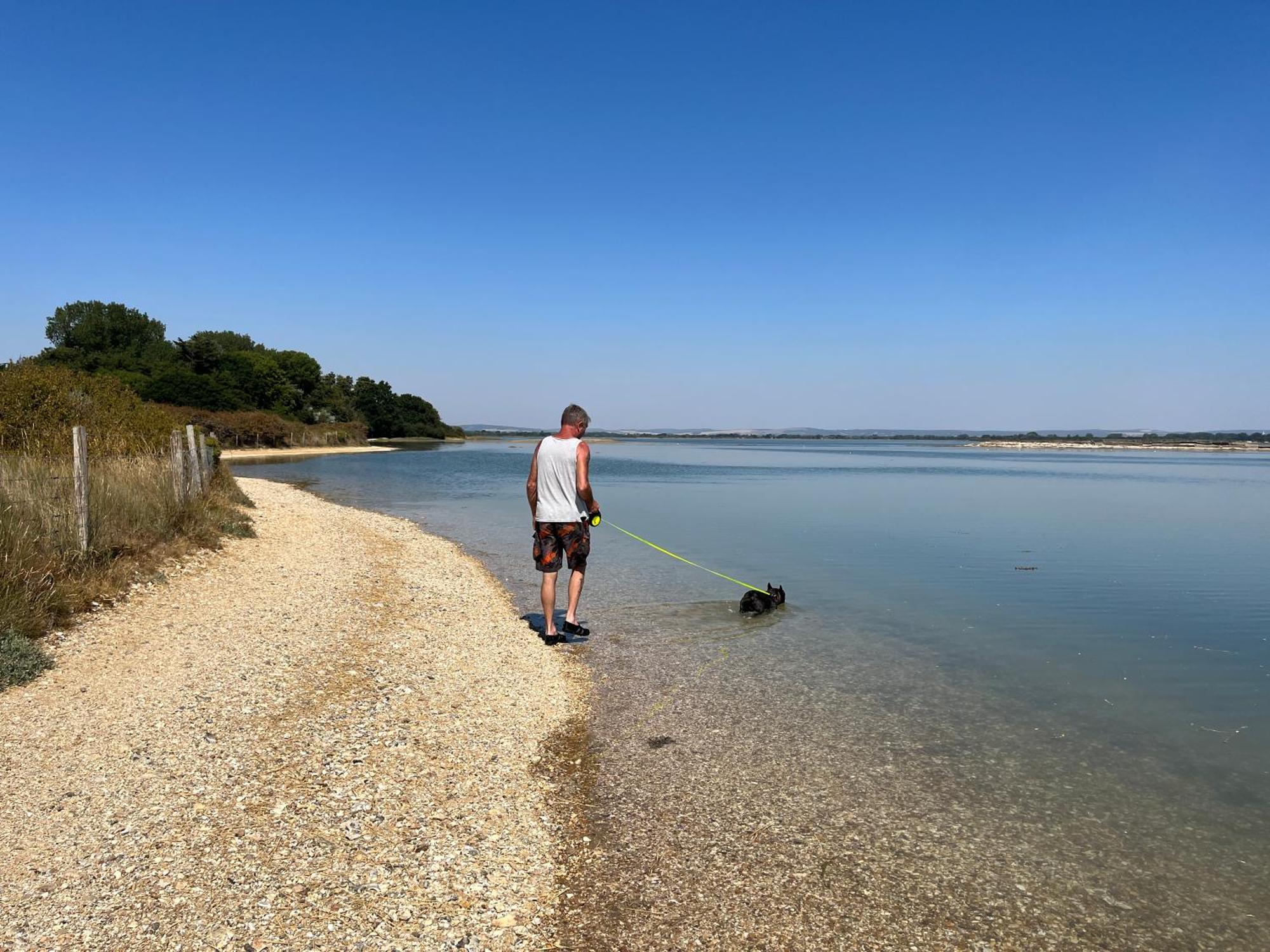 Stay At 'The Elms' In Tranquil Church Norton, Selsey - Ground Floor Bedroom, Own Private Bathroom, Quiet Beach, 2 Acre Garden By The Sea, On Edge Of Wildlife Nature Reserve Exterior foto